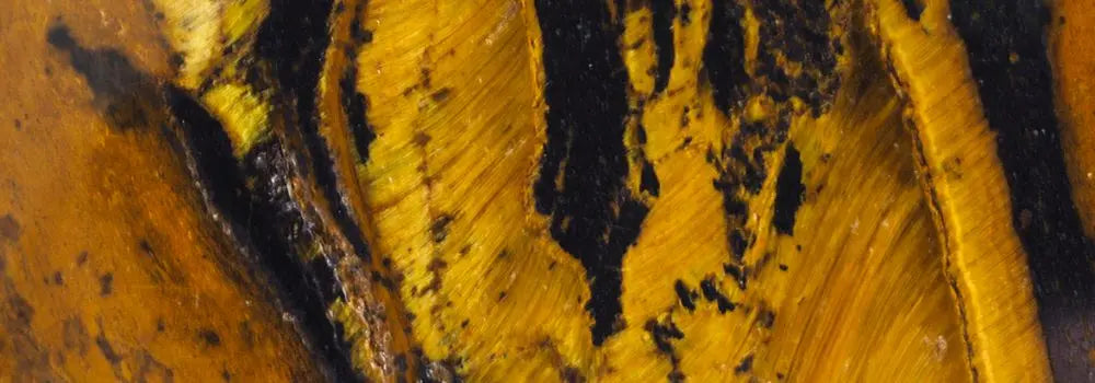 Les-bienfaits-de-l-oeil-du-tigre Zelia Paris