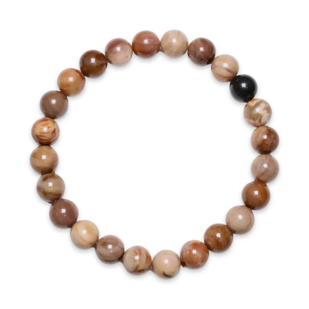 Nalaya | Bois Fossilisé - Ancrage & Sagesse (Homme)