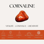 Nalaya | Vitalité, Joie et Abondance Zelia Paris