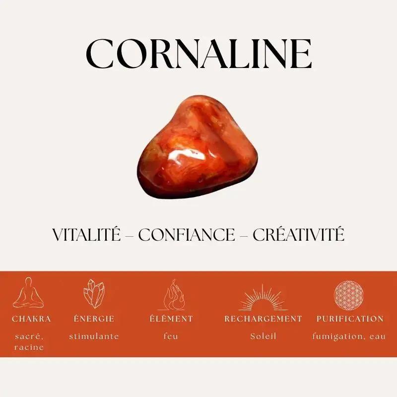 Nalaya | Vitalité, Joie et Abondance Zelia Paris