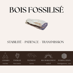 Nalaya | Bois fossilisé - Ancrage & Sagesse (Homme) - Zelia Paris