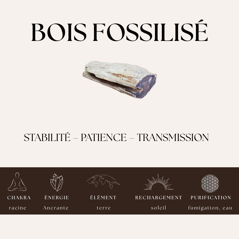 Nalaya | Bois fossilisé - Ancrage & Sagesse (Homme) - Zelia Paris