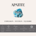Nalaya | Apatite Bleue - Communication & Expression (Homme) - Zelia Paris