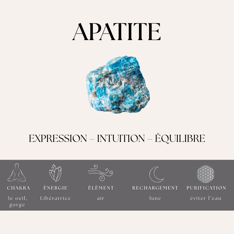 Nalaya | Apatite Bleue - Communication & Expression (Homme) - Zelia Paris