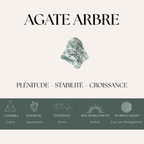 Nalaya | Agate Arbre - Croissance & Plénitude (Homme) - Zelia Paris