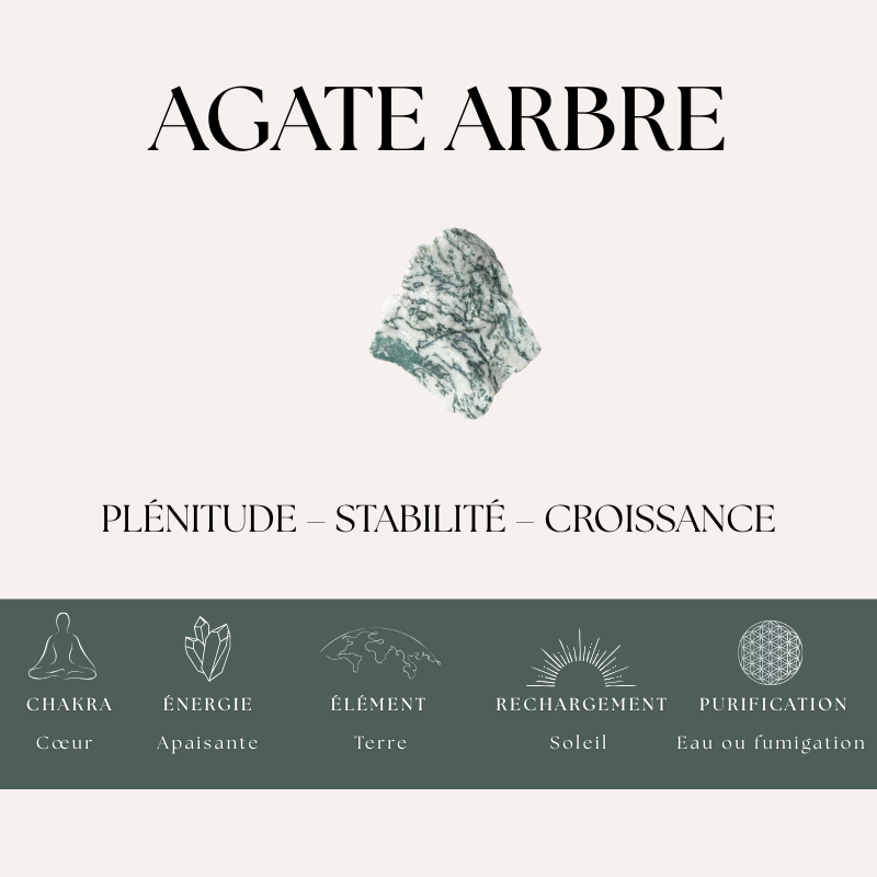 Nalaya | Agate Arbre - Croissance & Plénitude (Homme) - Zelia Paris